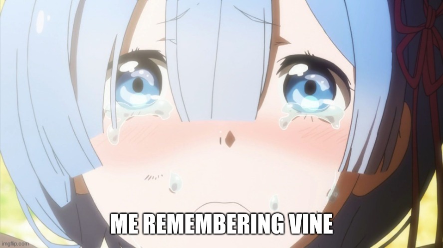 Crying anime girl | ME REMEMBERING VINE | image tagged in crying anime girl | made w/ Imgflip meme maker