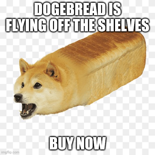 Dogebread | DOGEBREAD IS FLYING OFF THE SHELVES; BUY NOW | image tagged in doge | made w/ Imgflip meme maker