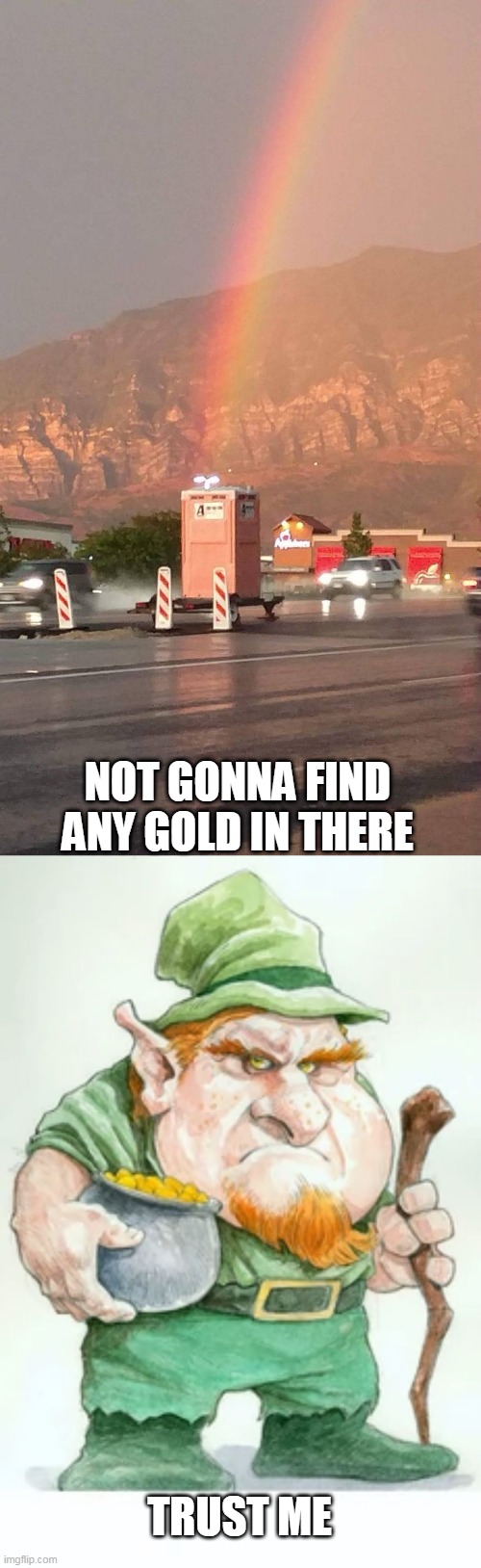 I'LL TAKE HIS WORD ON IT | NOT GONNA FIND ANY GOLD IN THERE; TRUST ME | image tagged in memes,rainbow,leprechaun,toilet | made w/ Imgflip meme maker
