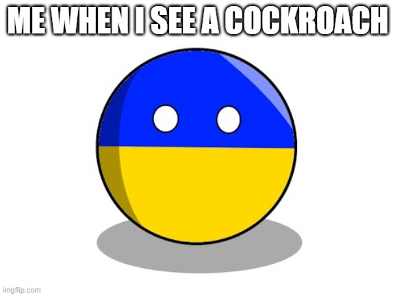 you know whats gonna happen | ME WHEN I SEE A COCKROACH | image tagged in ukraine staring,countryballs,polandball,memes,funny,cockroach | made w/ Imgflip meme maker