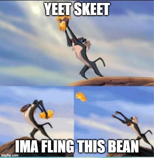 Yeet Skeet fling bean | YEET SKEET; IMA FLING THIS BEAN | image tagged in lion being yeeted,yeet,skeet,fling,bean | made w/ Imgflip meme maker