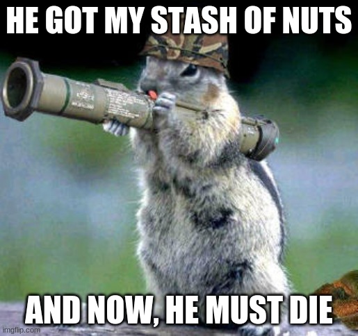 The squirrel is Nuts | HE GOT MY STASH OF NUTS; AND NOW, HE MUST DIE | image tagged in memes,bazooka squirrel | made w/ Imgflip meme maker