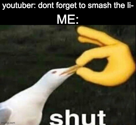 SHUT | youtuber: dont forget to smash the li-; ME: | image tagged in shut,youtube,youtuber,memes | made w/ Imgflip meme maker