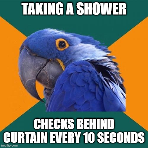 Paranoid Parrot Meme Imgflip