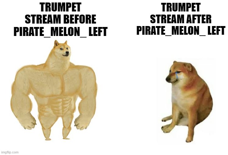 It's just sitting there, like a rotting skeleton | TRUMPET STREAM BEFORE PIRATE_MELON_ LEFT; TRUMPET STREAM AFTER PIRATE_MELON_ LEFT | image tagged in strong doge weak doge,memes,trumpet,stream,pirate-melon | made w/ Imgflip meme maker
