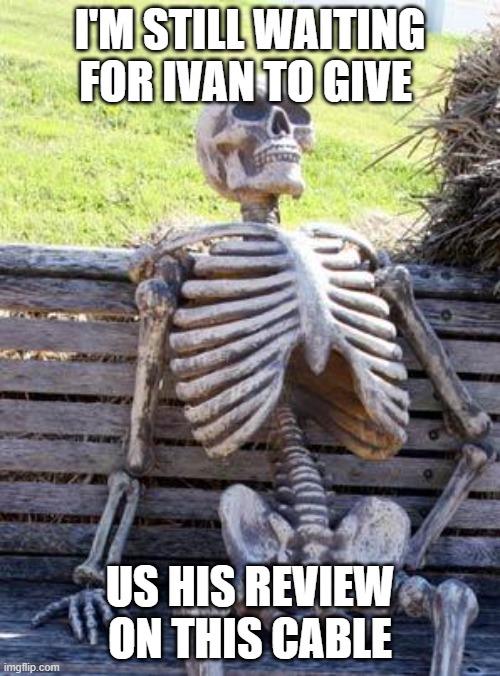 Waiting Skeleton Meme | I'M STILL WAITING FOR IVAN TO GIVE; US HIS REVIEW ON THIS CABLE | image tagged in memes,waiting skeleton | made w/ Imgflip meme maker