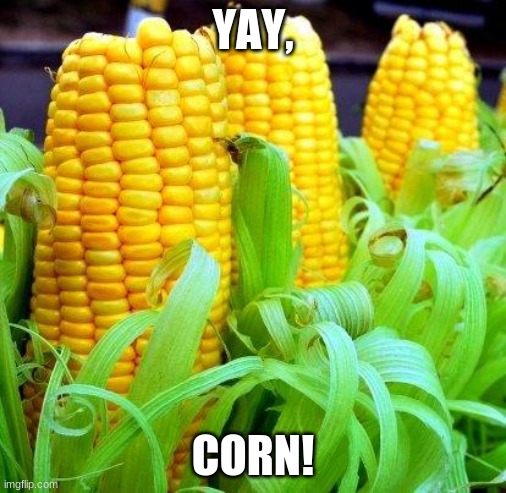 CORN meme | YAY, CORN! | image tagged in corn meme | made w/ Imgflip meme maker
