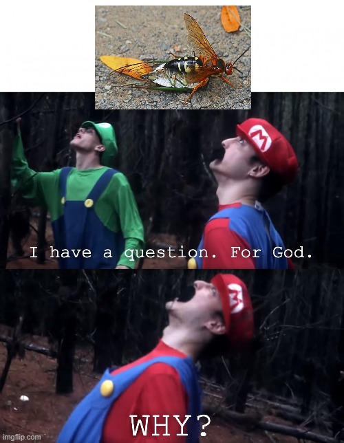 I have a question. For God | image tagged in i have a question for god | made w/ Imgflip meme maker