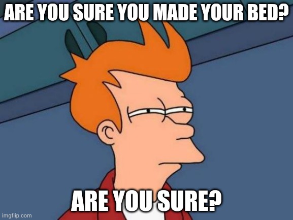 Yes mom | ARE YOU SURE YOU MADE YOUR BED? ARE YOU SURE? | image tagged in memes,futurama fry | made w/ Imgflip meme maker