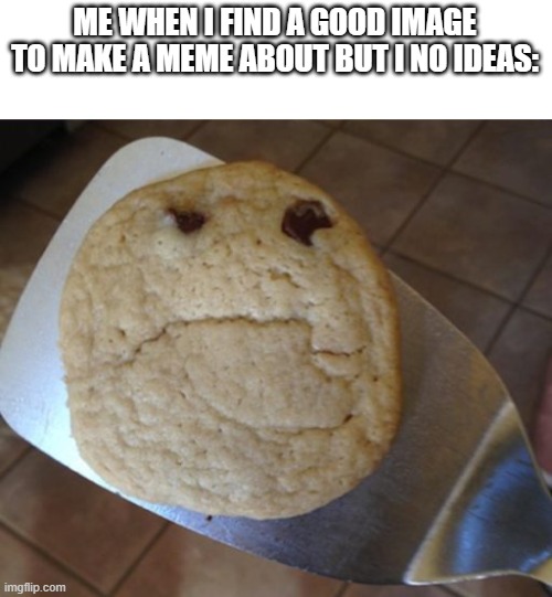 I'm a cookie now | ME WHEN I FIND A GOOD IMAGE TO MAKE A MEME ABOUT BUT I NO IDEAS: | image tagged in funny stuff,memes,cookie,sad cookie | made w/ Imgflip meme maker