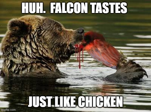 Tastes Like Chicken | HUH.  FALCON TASTES; JUST LIKE CHICKEN | image tagged in bears,chicago bears,falcons,atlanta falcons,bears vs falcons | made w/ Imgflip meme maker