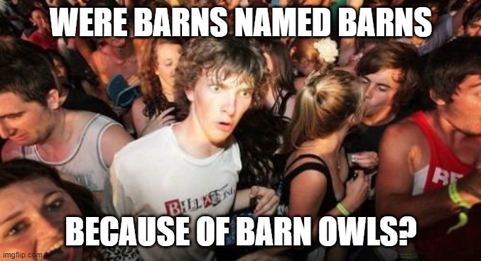 which came first? | WERE BARNS NAMED BARNS; BECAUSE OF BARN OWLS? | image tagged in memes,sudden clarity clarence | made w/ Imgflip meme maker