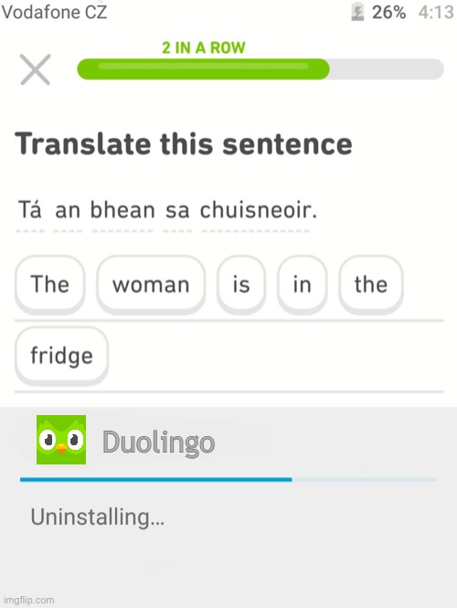 Oh Gosh Duolingo What Are You Doing!? | Duolingo | image tagged in funny,memes,dark humor,funny memes,dank memes,duolingo | made w/ Imgflip meme maker