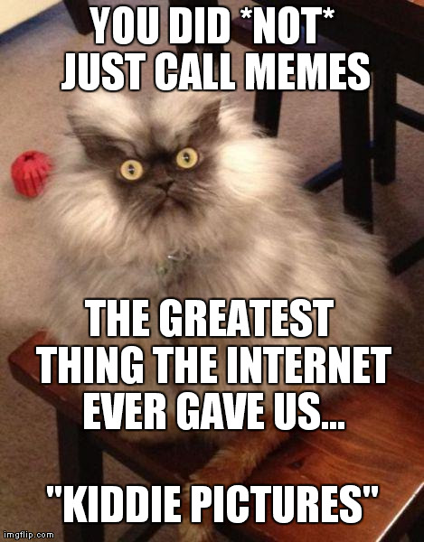 YOU DID *NOT* JUST CALL MEMES THE GREATEST THING THE INTERNET EVER GAVE US... "KIDDIE PICTURES" | image tagged in colonel meow surprised | made w/ Imgflip meme maker