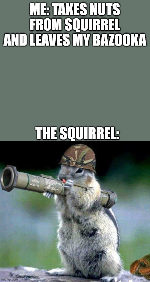 gimme the nuts | ME: TAKES NUTS FROM SQUIRREL AND LEAVES MY BAZOOKA; THE SQUIRREL: | image tagged in memes,bazooka squirrel | made w/ Imgflip meme maker