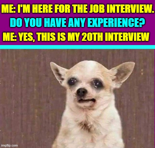 Actually, I like Getting the Unemployment Checks! | ME: I'M HERE FOR THE JOB INTERVIEW. DO YOU HAVE ANY EXPERIENCE? ME: YES, THIS IS MY 20TH INTERVIEW | image tagged in vince vance,chihuahua,dogs,memes,job interview,funny animals | made w/ Imgflip meme maker