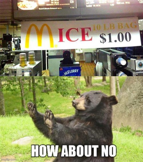 10 pound bag of mice | image tagged in memes,how about no bear | made w/ Imgflip meme maker