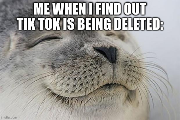 Satisfied Seal | ME WHEN I FIND OUT TIK TOK IS BEING DELETED: | image tagged in memes,satisfied seal | made w/ Imgflip meme maker