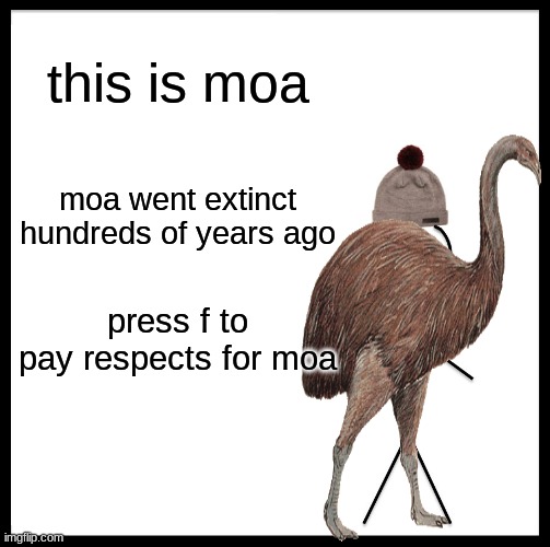 Be Like Bill | this is moa; moa went extinct hundreds of years ago; press f to pay respects for moa | image tagged in memes,be like bill | made w/ Imgflip meme maker