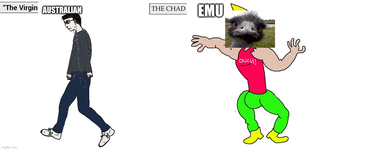 Virgin and Chad | AUSTRALIAN; EMU | image tagged in virgin and chad | made w/ Imgflip meme maker