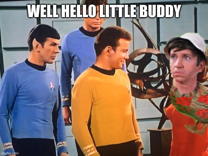 Kirky Fu | WELL HELLO LITTLE BUDDY | image tagged in kirk n the boys,gilligans dork | made w/ Imgflip meme maker