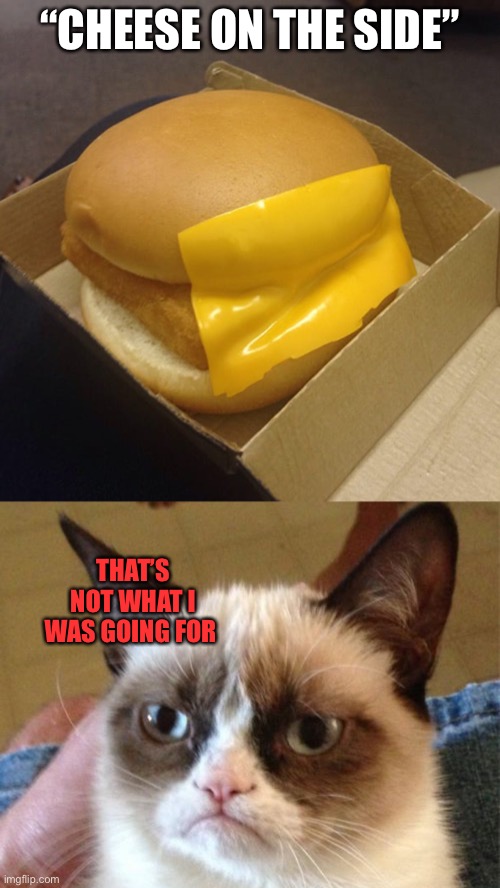 What happens if I ask “burger on the side”? | “CHEESE ON THE SIDE”; THAT’S NOT WHAT I WAS GOING FOR | image tagged in memes,grumpy cat,funny,funny memes | made w/ Imgflip meme maker