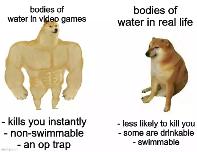 Splish Splash Your Life Is Trash | bodies of water in real life; bodies of water in video games; - kills you instantly
- non-swimmable
- an op trap; - less likely to kill you
- some are drinkable
- swimmable | image tagged in buff doge vs cheems,memes,water,doge,cheems | made w/ Imgflip meme maker