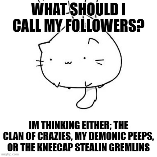 hmmm... | WHAT SHOULD I CALL MY FOLLOWERS? IM THINKING EITHER; THE CLAN OF CRAZIES, MY DEMONIC PEEPS, OR THE KNEECAP STEALIN GREMLINS | image tagged in cat,followers,craziness_all_the_way,names,idk | made w/ Imgflip meme maker