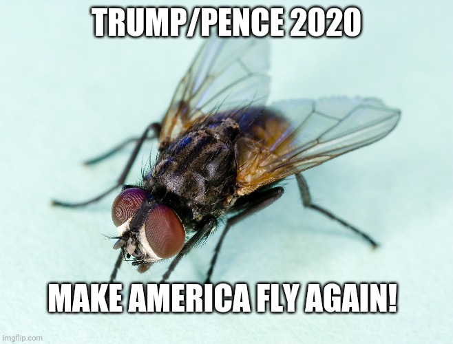 Trump 2020 | TRUMP/PENCE 2020; MAKE AMERICA FLY AGAIN! | image tagged in donald trump,mike pence,usa | made w/ Imgflip meme maker