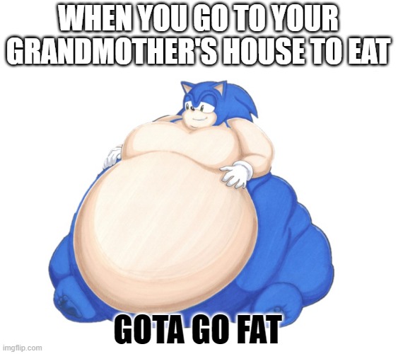grandmother things | WHEN YOU GO TO YOUR GRANDMOTHER'S HOUSE TO EAT; GOTA GO FAT | image tagged in fat sonic 2 | made w/ Imgflip meme maker