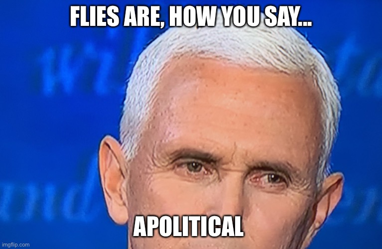 Pence Fly | FLIES ARE, HOW YOU SAY... APOLITICAL | image tagged in pence fly,fly,apolitical,election,election 2020 | made w/ Imgflip meme maker