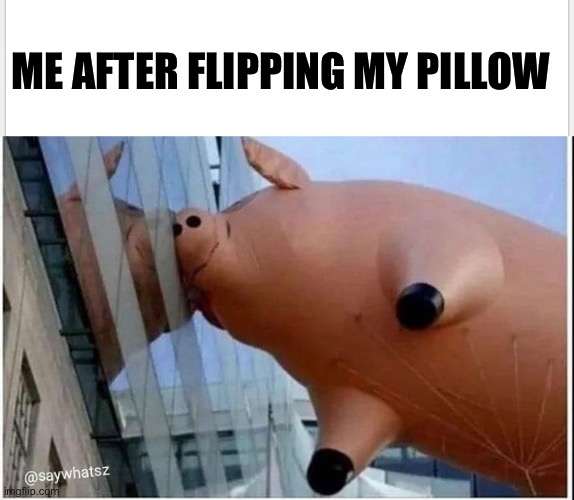 Cool | ME AFTER FLIPPING MY PILLOW | image tagged in pillow,pigs,sleep,memes,bed,bacon | made w/ Imgflip meme maker