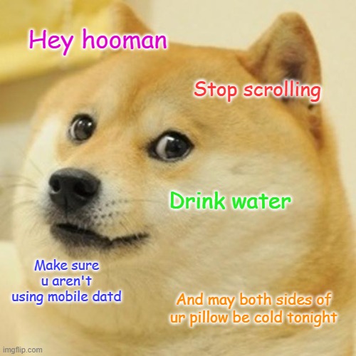 Doge | Hey hooman; Stop scrolling; Drink water; Make sure u aren't using mobile datd; And may both sides of ur pillow be cold tonight | image tagged in memes,doge,dankmemes | made w/ Imgflip meme maker