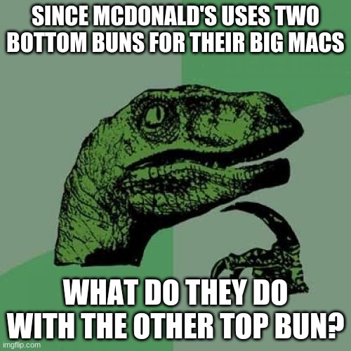 Ever ask the same thing? | SINCE MCDONALD'S USES TWO BOTTOM BUNS FOR THEIR BIG MACS; WHAT DO THEY DO WITH THE OTHER TOP BUN? | image tagged in memes,philosoraptor,mcdonalds,mcdonald's,big mac | made w/ Imgflip meme maker