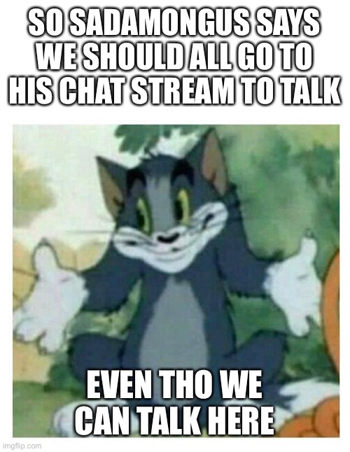 Link in comments | SO SADAMONGUS SAYS WE SHOULD ALL GO TO HIS CHAT STREAM TO TALK; EVEN THO WE CAN TALK HERE | image tagged in idk tom template,memes,idk,stream | made w/ Imgflip meme maker