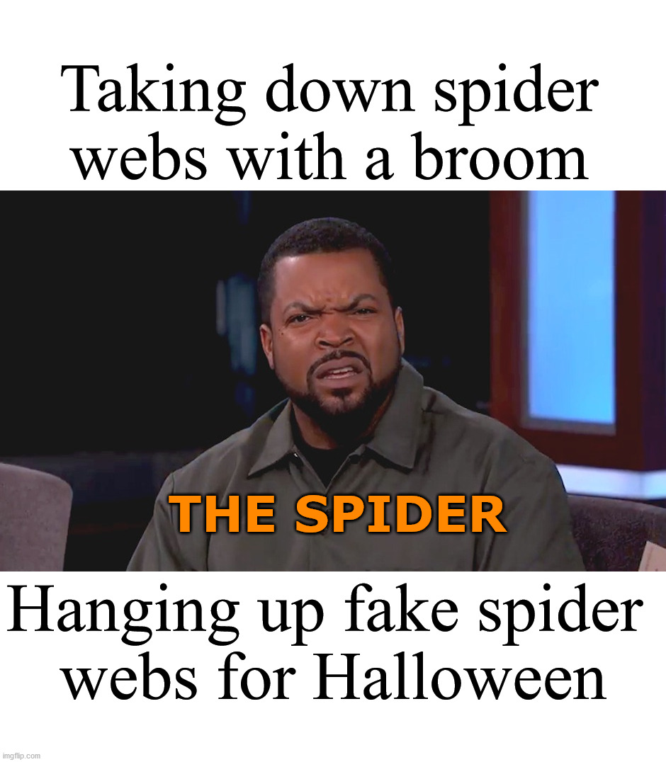 It is confusing to me too. | Taking down spider webs with a broom; THE SPIDER; Hanging up fake spider 
webs for Halloween | image tagged in really ice cube,confused,halloween | made w/ Imgflip meme maker