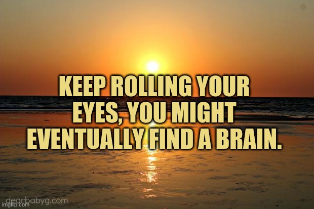 beach sunset | KEEP ROLLING YOUR EYES, YOU MIGHT EVENTUALLY FIND A BRAIN. | image tagged in beach sunset,insults | made w/ Imgflip meme maker