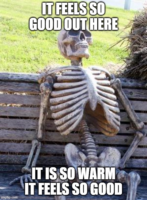 Waiting Skeleton Meme | IT FEELS SO GOOD OUT HERE; IT IS SO WARM IT FEELS SO GOOD | image tagged in memes,waiting skeleton | made w/ Imgflip meme maker
