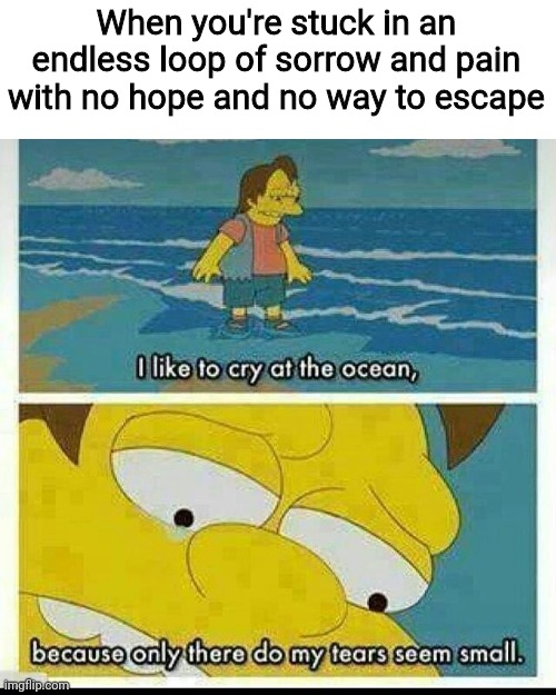 Long time no see | When you're stuck in an endless loop of sorrow and pain with no hope and no way to escape | image tagged in i like to cry at the ocean,depression,help me,sad | made w/ Imgflip meme maker