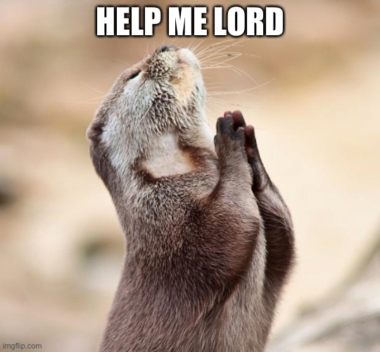 animal praying | HELP ME LORD | image tagged in animal praying | made w/ Imgflip meme maker