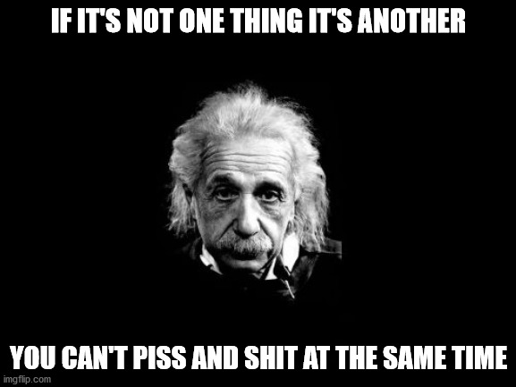 Albert Einstein 1 | IF IT'S NOT ONE THING IT'S ANOTHER; YOU CAN'T PISS AND SHIT AT THE SAME TIME | image tagged in memes,albert einstein 1 | made w/ Imgflip meme maker