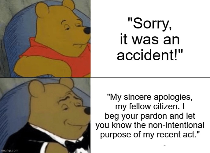 How to be a proper citizen | "Sorry, it was an accident!"; "My sincere apologies, my fellow citizen. I beg your pardon and let you know the non-intentional purpose of my recent act." | image tagged in memes,tuxedo winnie the pooh,citizen,sorry,proper manners | made w/ Imgflip meme maker