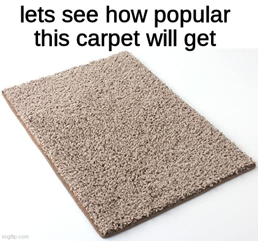 Carpet. | lets see how popular this carpet will get | image tagged in memes,funny,carpet,random,carpet is cool | made w/ Imgflip meme maker