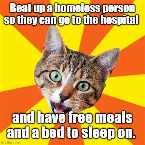 Spread the wralth. | Beat up a homeless person so they can go to the hospital; and have free meals and a bed to sleep on. | image tagged in memes,bad advice cat,kindoffunny | made w/ Imgflip meme maker