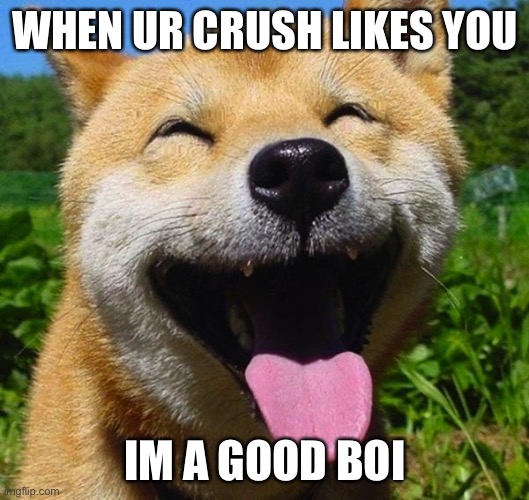 Smiling Dog | WHEN UR CRUSH LIKES YOU; IM A GOOD BOI | image tagged in smiling dog | made w/ Imgflip meme maker