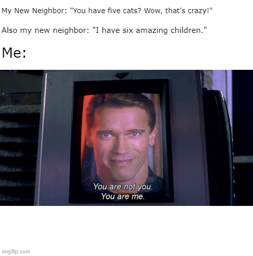 You are not you. You are me. | My New Neighbor: "You have five cats? Wow, that's crazy!"; Also my new neighbor: "I have six amazing children."; Me: | image tagged in total recall,arnold schwarzenegger,arnold meme,crazy cat lady,cat lady,funny meme | made w/ Imgflip meme maker