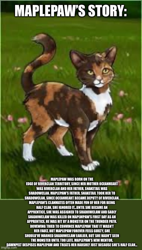 MAPLEPAW’S STORY:; MAPLEPAW WAS BORN ON THE EDGE OF RIVERCLAN TERRITORY, SINCE HER MOTHER OCEANHEART WAS RIVERCLAN AND HER FATHER, SNAKETAIL WAS SHADOWCLAN. MAPLEPAW’S FATHER, SNAKETAIL TOOK HER TO SHADOWCLAN, SINCE OCEANHEART BECAME DEPUTY OF RIVERCLAN. MAPLEPAW’S CLANMATES OFTEN MADE FUN OF HER FOR BEING HALF CLAN, SHE IGNORED IT...UNTIL SHE BECAME AN APPRENTICE, SHE WAS ASSIGNED TO SHADOWCLAW AND SADLY SHADOWCLAW WAS KILLED ON MAPLWPAW’S FIRST DAY AS AN APPRENTICE, HE WAS HIT BY A MONSTER ON THE THUNDER PATH. DOVEWING TRIED TO CONVINCE MAPLEPAW THAT IT WASN’T HER FAULT, BUT MAPLEPAW FOREVER FEELS GUILTY, SHE SHOULD’VE WARNED SHADOWCLAW EARLIER, BUT SHE HADN’T SEEN THE MONSTER UNTIL TOO LATE. MAPLEPAW’S NEW MENTOR, DAWNPELT DESPISES MAPLEPAW AND TREATS HER HARSHLY JUST BECAUSE SHE’S HALF CLAN... | made w/ Imgflip meme maker