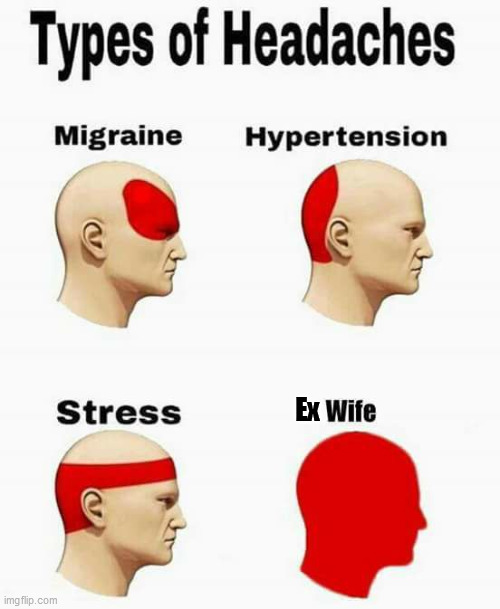 Types of headache | Ex | image tagged in wife,ex-wife,types of headaches meme | made w/ Imgflip meme maker