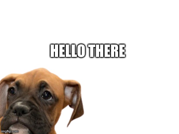 General Kenobi | HELLO THERE | image tagged in puppy,boxer | made w/ Imgflip meme maker