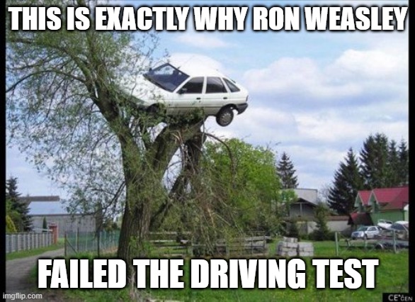 Secure Parking Meme | THIS IS EXACTLY WHY RON WEASLEY; FAILED THE DRIVING TEST | image tagged in memes,secure parking | made w/ Imgflip meme maker